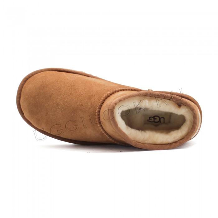 Угги низкие слипперы рыжие Classic SLIPPER TASMAN chestnut